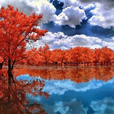 آهنگ جدید  مه قربانت شوم ای نقره ای خام هوش مصنوعی
